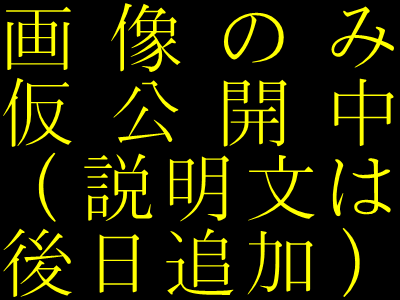 画像のみ仮公開中（説明文は後日追加）